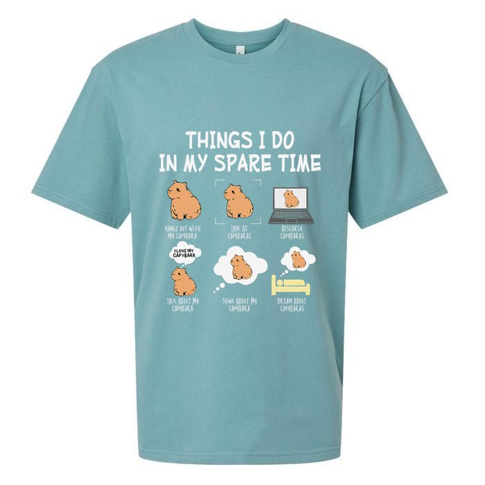 Capybara Things I Do In My Spare Time Funny Capybara Sueded Cloud Jersey T-Shirt