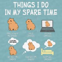 Capybara Things I Do In My Spare Time Funny Capybara Sueded Cloud Jersey T-Shirt