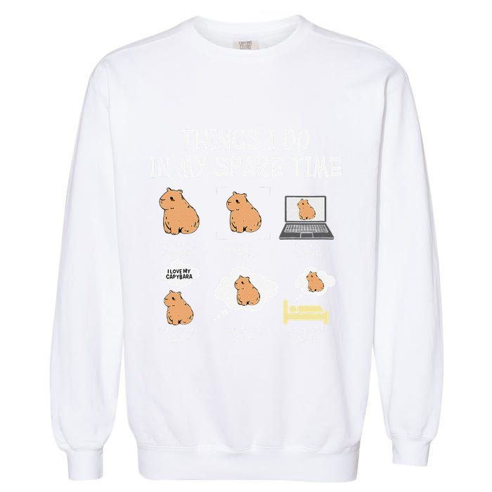 Capybara Things I Do In My Spare Time Funny Capybara Garment-Dyed Sweatshirt