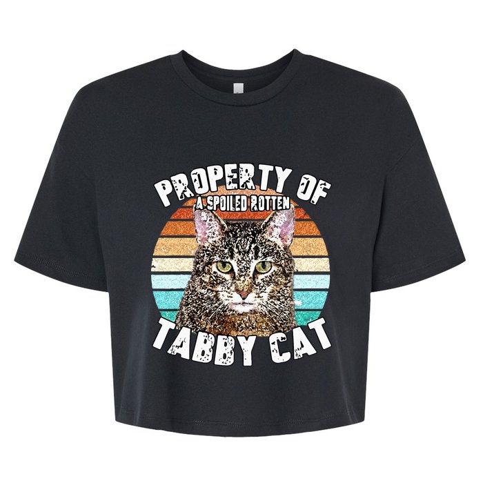 Cat Tabby Lover Vintage Eighties Style Cat Retro Gift Bella+Canvas Jersey Crop Tee