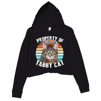 Cat Tabby Lover Vintage Eighties Style Cat Retro Gift Crop Fleece Hoodie