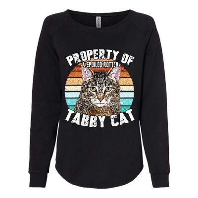 Cat Tabby Lover Vintage Eighties Style Cat Retro Gift Womens California Wash Sweatshirt