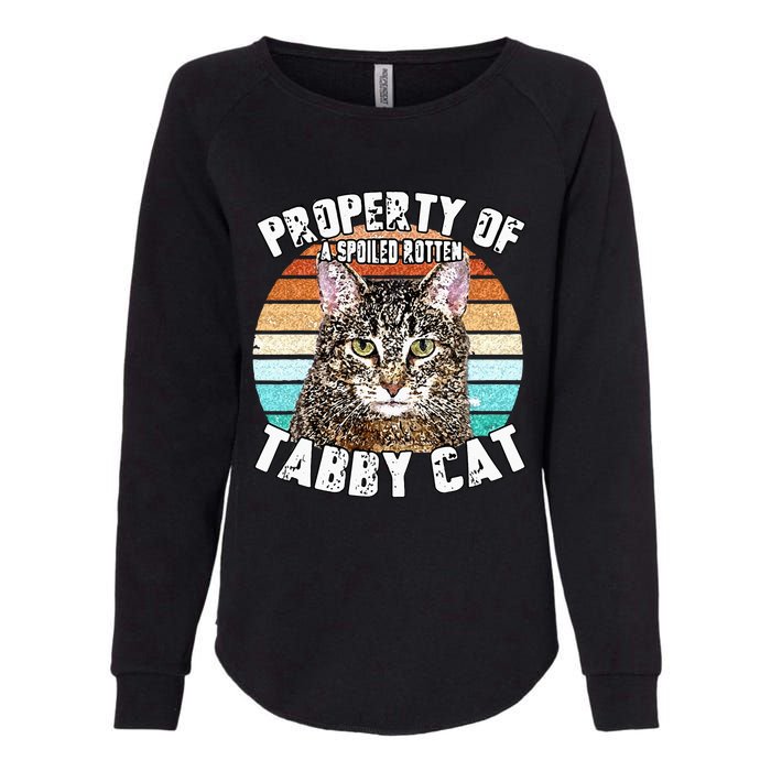 Cat Tabby Lover Vintage Eighties Style Cat Retro Gift Womens California Wash Sweatshirt