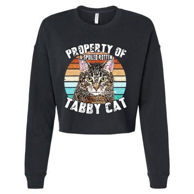 Cat Tabby Lover Vintage Eighties Style Cat Retro Gift Cropped Pullover Crew