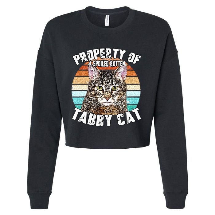 Cat Tabby Lover Vintage Eighties Style Cat Retro Gift Cropped Pullover Crew