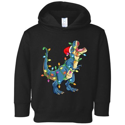 Christmas Tree Lights Funny T Rex Toddler Hoodie