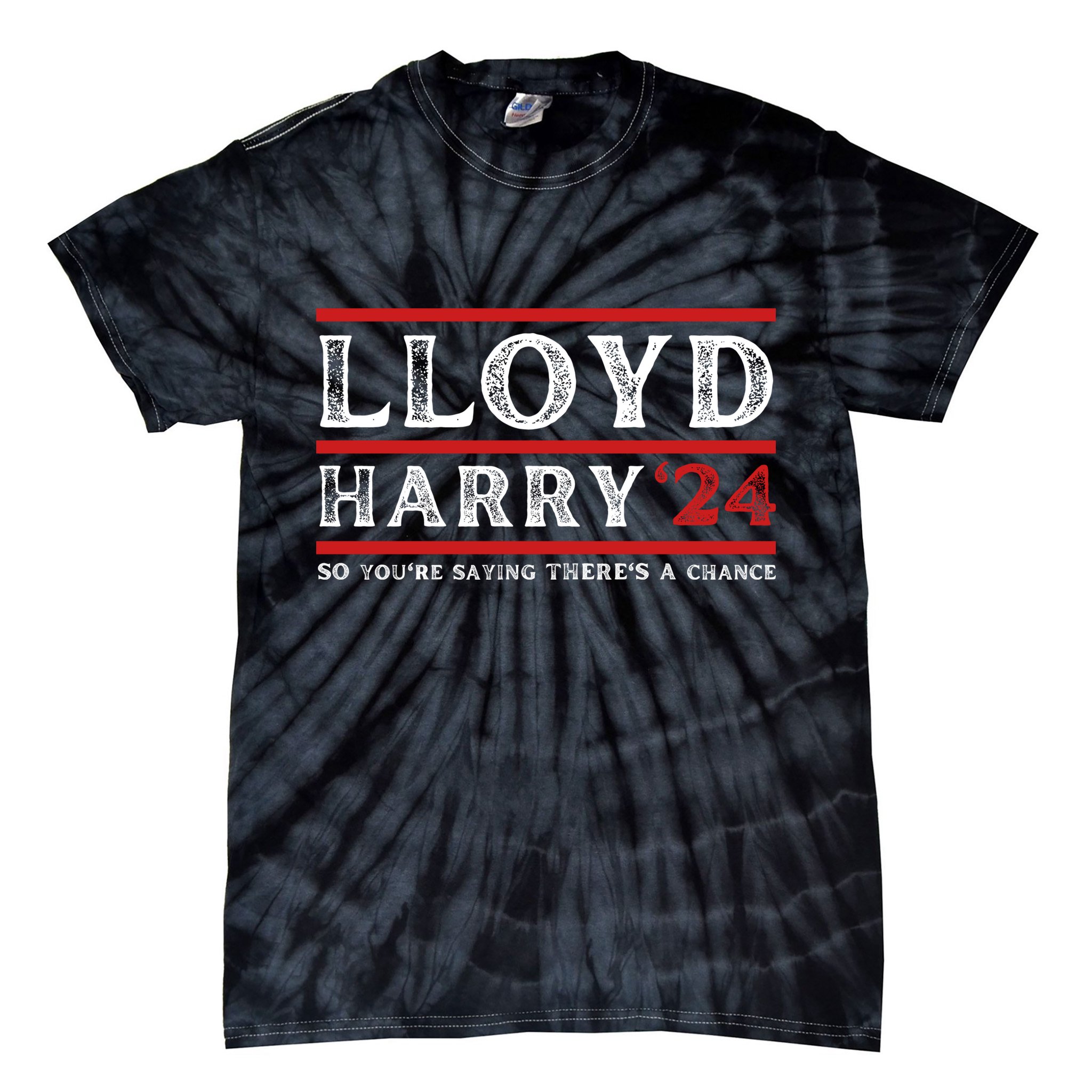 Comedy Tee Lloyd Harry 24 So Youre Saying Theres A Chancc Tie-Dye T-Shirt