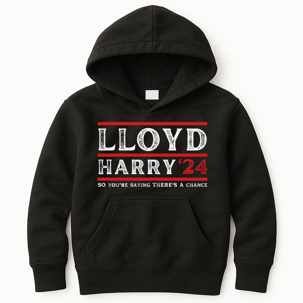Comedy Tee Lloyd Harry 24 So Youre Saying Theres A Chancc Kids Hoodie