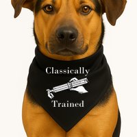 Classically Trained Mechanical Analog Calculator Slide Rule USA-Made Doggie Bandana