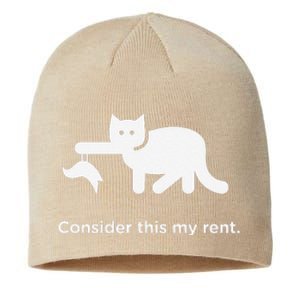 Consider This My Rent Funny Cute Cat Sustainable Beanie