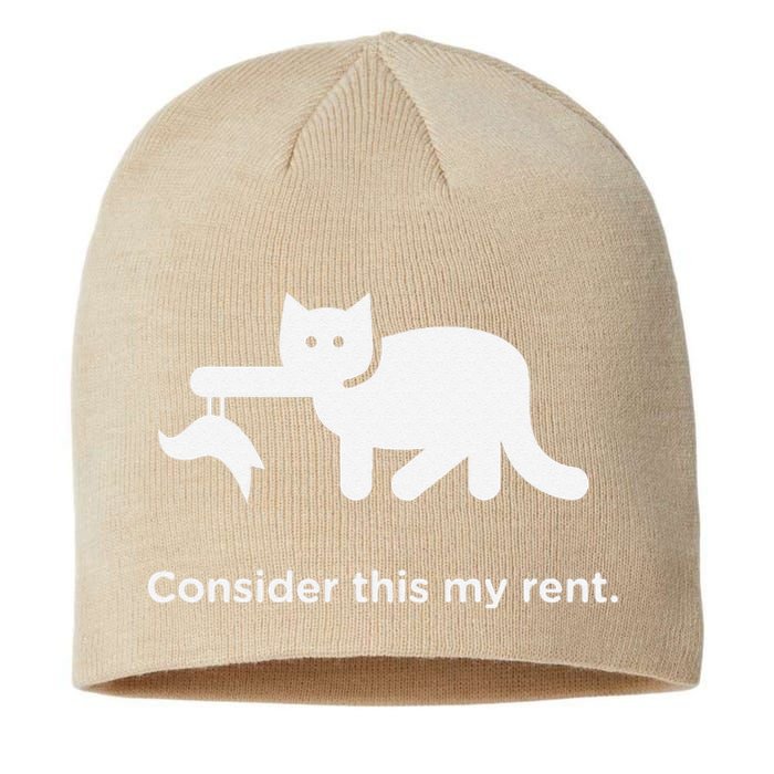 Consider This My Rent Funny Cute Cat Sustainable Beanie