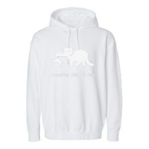 Consider This My Rent Funny Cute Cat Garment-Dyed Fleece Hoodie