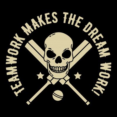 Colorful Teamwork makes the Dream Work! Cricket T-Shirt