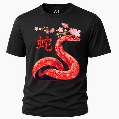 Chinese Traditional New Year 2025 Year Of The Snake 2025 Performance Shirt