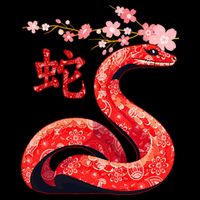 Chinese Traditional New Year 2025 Year Of The Snake 2025 City Backpack