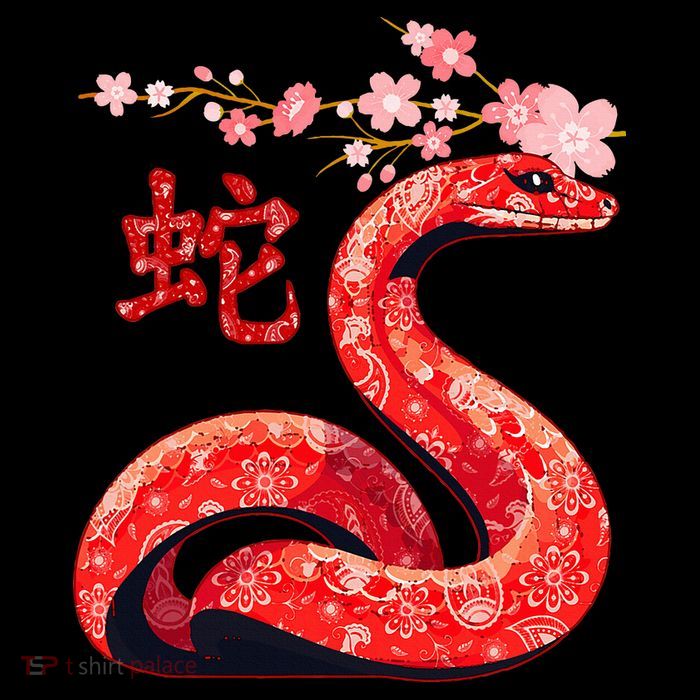 Chinese Traditional New Year 2025 Year Of The Snake 2025 Premium T-Shirt