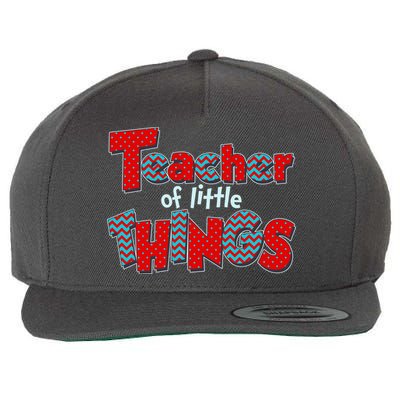 Cute Teacher Of Little Things Wool Snapback Cap