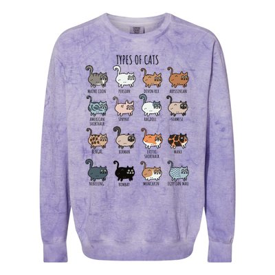 Cute Types Of Cat Lady Bir Bengal Nebelung Persian Gift Colorblast Crewneck Sweatshirt