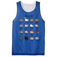 Cute Types Of Cat Lady Bir Bengal Nebelung Persian Gift Mesh Reversible Basketball Jersey Tank