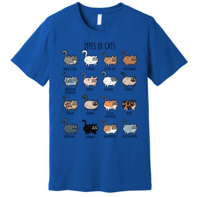 Cute Types Of Cat Lady Bir Bengal Nebelung Persian Gift Premium T-Shirt