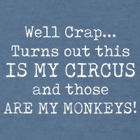 Crap, Turns Out This Is My Circus And Those Are My Monkeys Garment-Dyed Sweatshirt