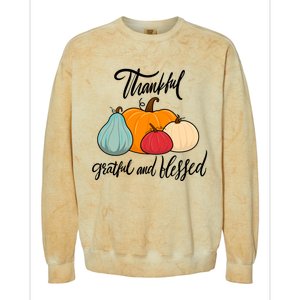 Colorful Thanksgiving Pumpkin Thankful Grateful Blessed Funny Gift Colorblast Crewneck Sweatshirt