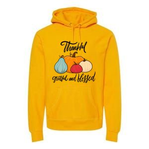 Colorful Thanksgiving Pumpkin Thankful Grateful Blessed Funny Gift Premium Hoodie