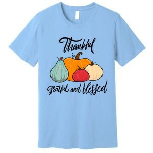 Colorful Thanksgiving Pumpkin Thankful Grateful Blessed Funny Gift Premium T-Shirt