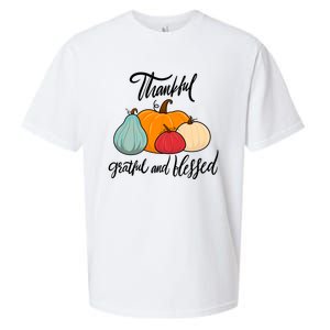 Colorful Thanksgiving Pumpkin Thankful Grateful Blessed Funny Gift Sueded Cloud Jersey T-Shirt