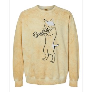 Cat Trumpet Player Straight Mute Wah Wah Funny Trumpet Colorblast Crewneck Sweatshirt