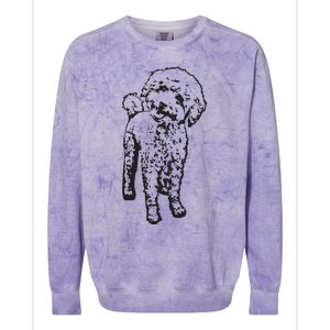 Cute Toy Poodle Smile Dog Lover Gift Black Colorblast Crewneck Sweatshirt