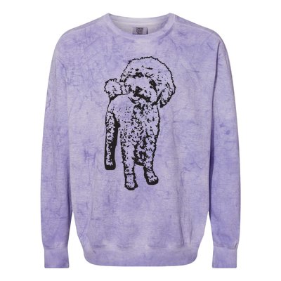 Cute Toy Poodle Smile Dog Lover Gift Black Colorblast Crewneck Sweatshirt