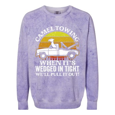 Camel Towing Retro Humor Saying Funny Transport Halloween Gift Colorblast Crewneck Sweatshirt