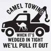 Camel Towing Retro Adult Humor Saying Funny Halloween Gift Premium T-Shirt