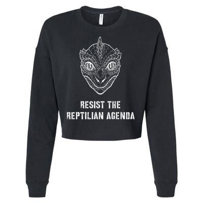 Conspiracy Theory Resist The Reptilian Agenda Cropped Pullover Crew