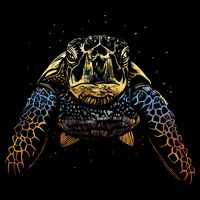 Colorful Turtle Sea Life Ladies Essential Flowy Tank