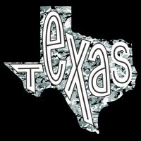 Camouflage Texas State Logo Hoodie