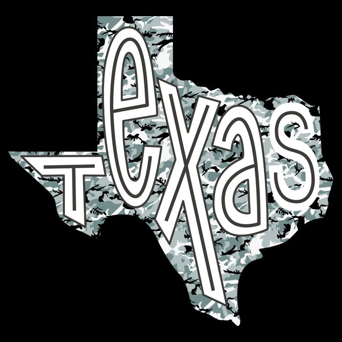 Camouflage Texas State Logo Hoodie