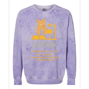 Chemistry Teacher Science Geek Cation Chemistry Cat Great Gift Colorblast Crewneck Sweatshirt