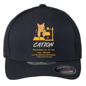 Chemistry Teacher Science Geek Cation Chemistry Cat Great Gift Flexfit Unipanel Trucker Cap