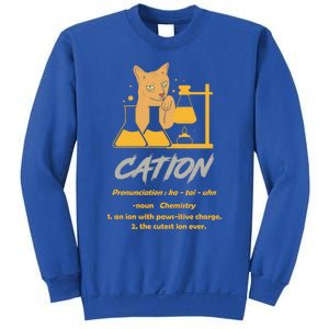 Chemistry Teacher Science Geek Cation Chemistry Cat Great Gift Sweatshirt