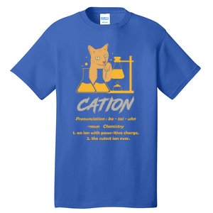 Chemistry Teacher Science Geek Cation Chemistry Cat Great Gift Tall T-Shirt