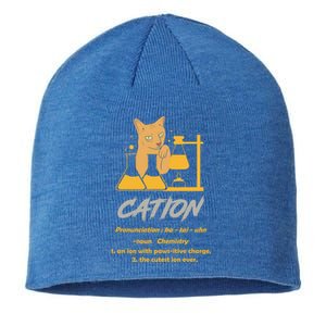 Chemistry Teacher Science Geek Cation Chemistry Cat Great Gift Sustainable Beanie