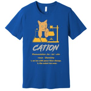 Chemistry Teacher Science Geek Cation Chemistry Cat Great Gift Premium T-Shirt