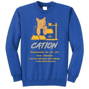 Chemistry Teacher Science Geek Cation Chemistry Cat Great Gift Tall Sweatshirt