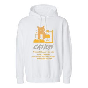 Chemistry Teacher Science Geek Cation Chemistry Cat Great Gift Garment-Dyed Fleece Hoodie