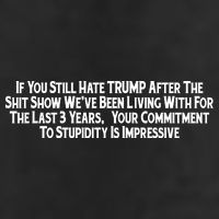 Commitment To Stupidity Trump 2024 Maga Cool Comfort Performance Bucket Hat