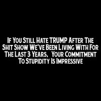 Commitment To Stupidity Trump 2024 Maga 7-Panel Snapback Hat