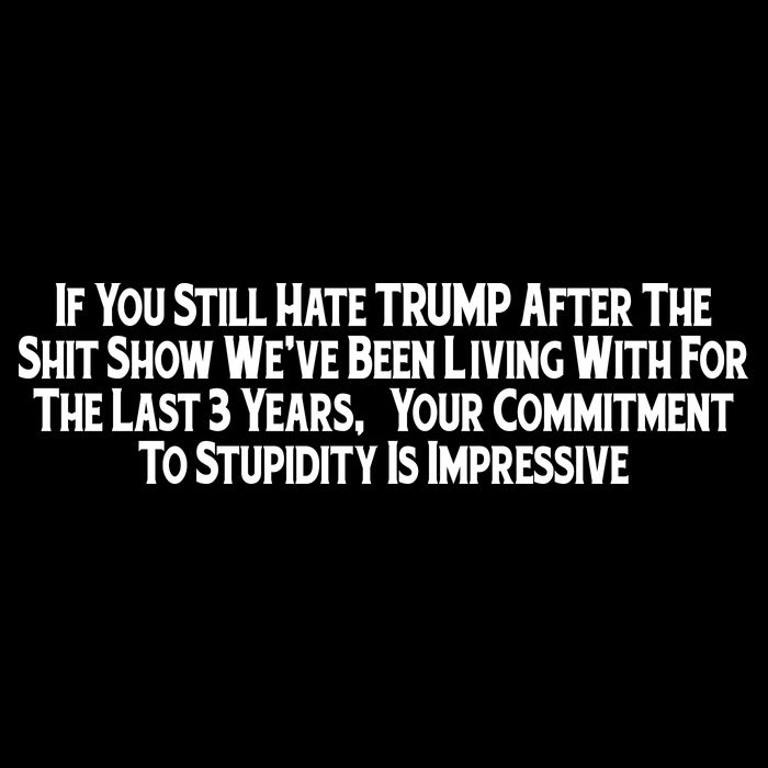 Commitment To Stupidity Trump 2024 Maga 7-Panel Snapback Hat