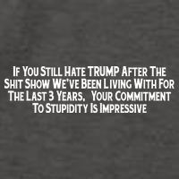Commitment To Stupidity Trump 2024 Maga Vector Backpack